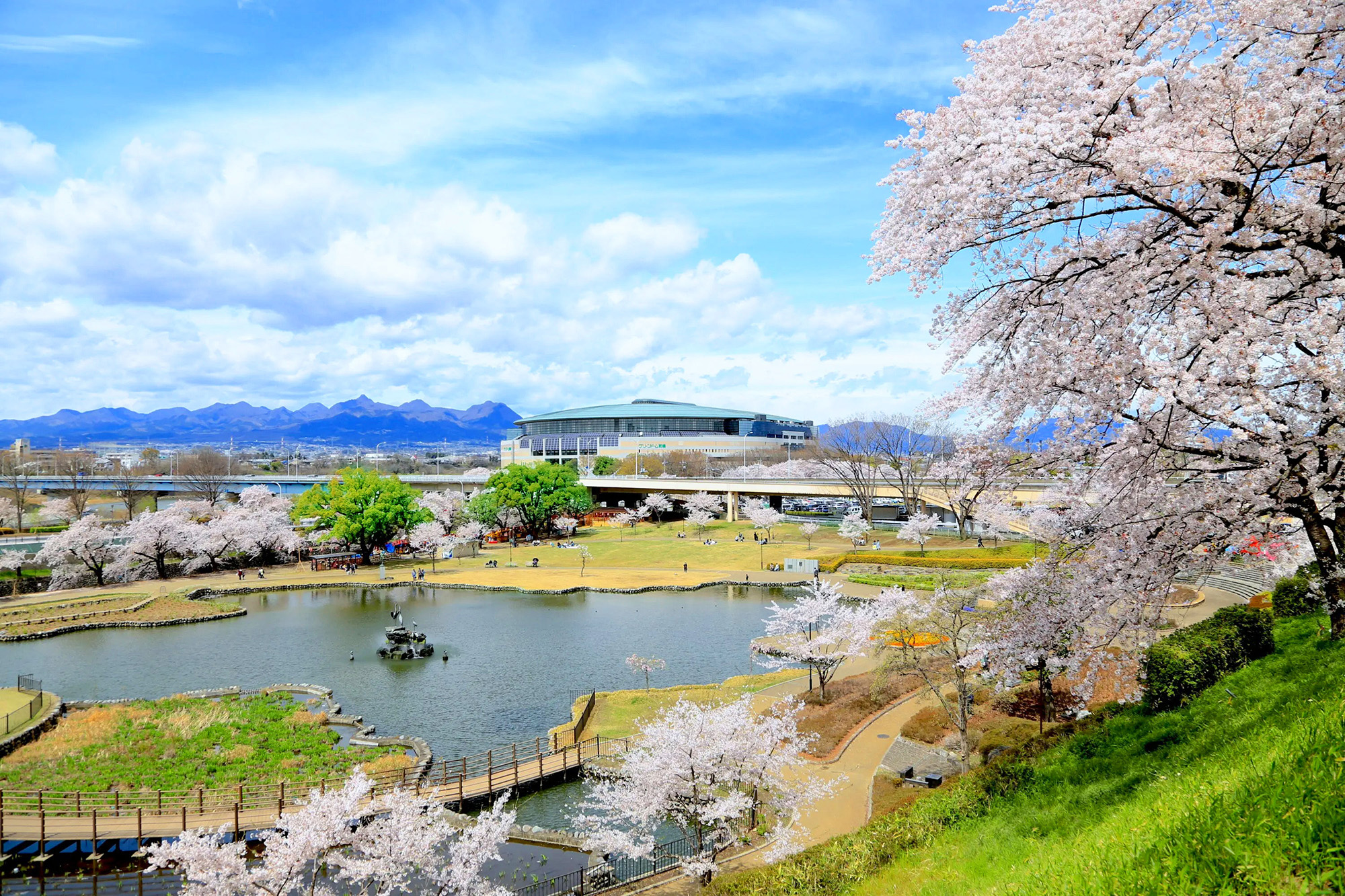 グリーンドーム前橋全景